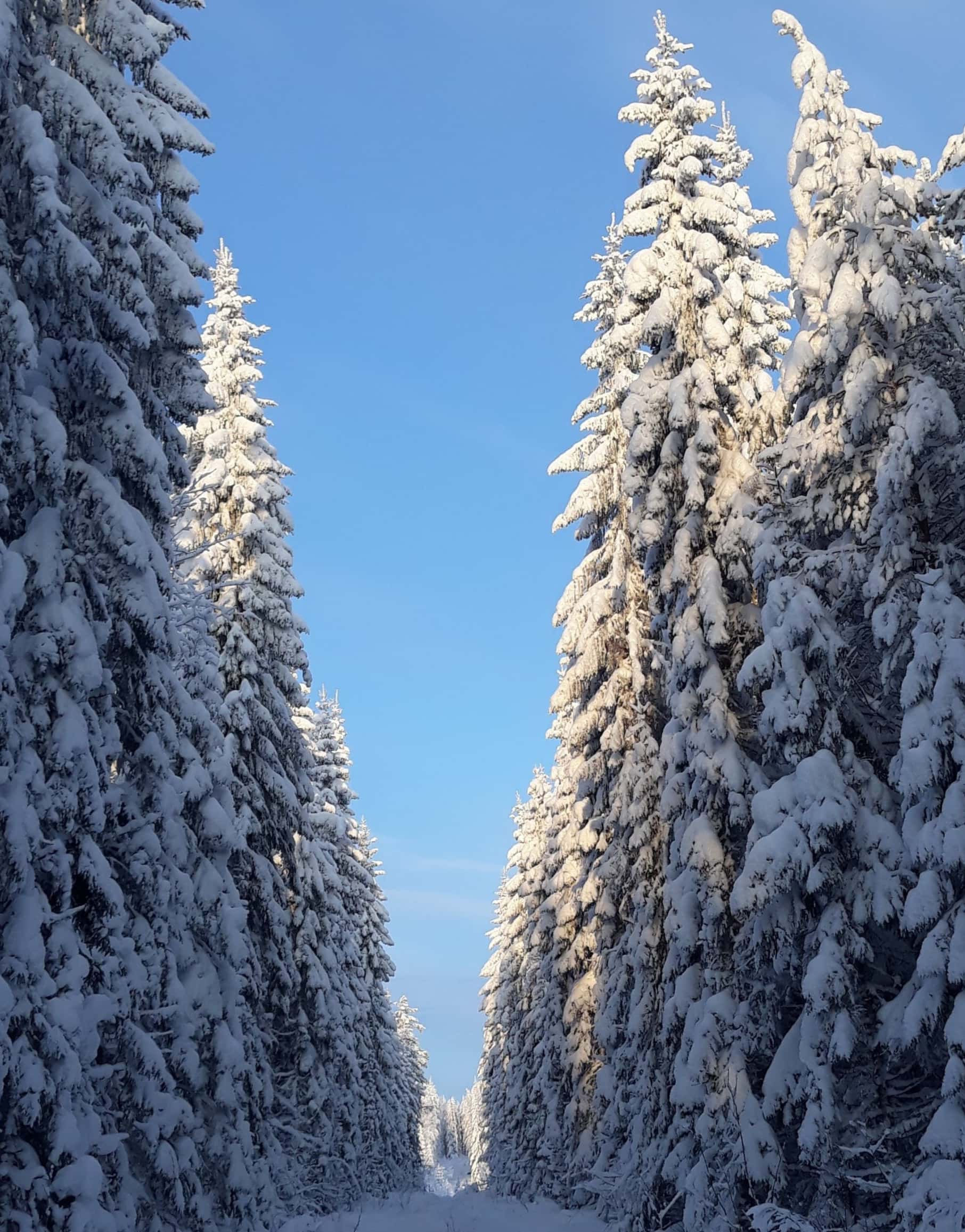 Ajakohtaista sivun tekstin viereen kuva-min